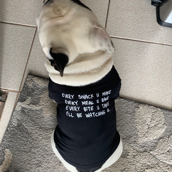 Club Huey bundle dog tshirts. - Picture 3 of 4